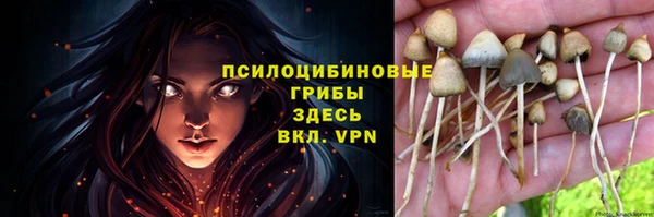 первитин Верхний Тагил