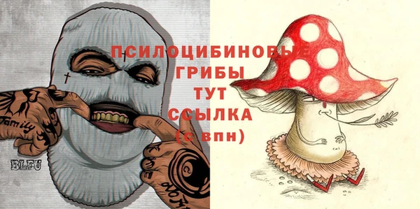 mix Верея