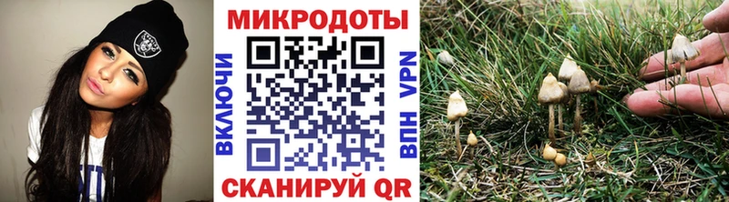 где купить наркоту  Новая Усмань  Галлюциногенные грибы Cubensis 